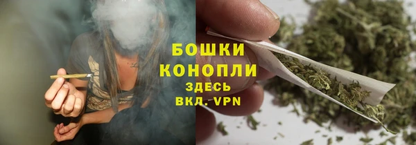 PSILOCYBIN Алексеевка