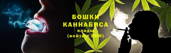 ПСИЛОЦИБИНОВЫЕ ГРИБЫ Алзамай